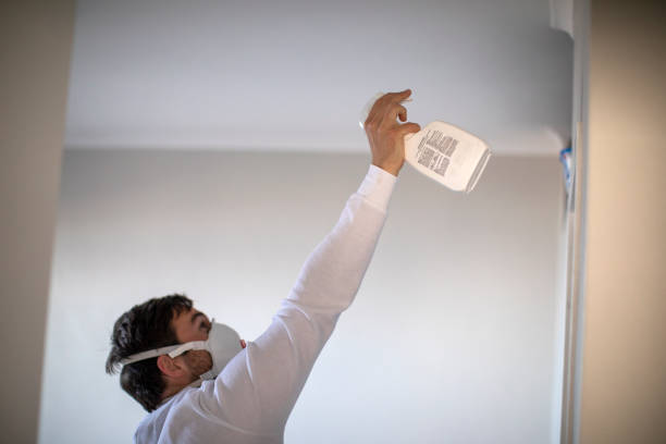 Best Attic Mold Removal  in Romoland, CA
