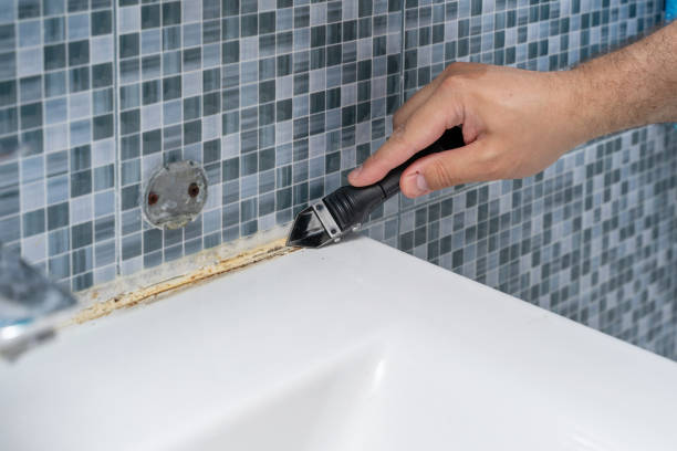 Best Mold Remediation Experts  in Romoland, CA
